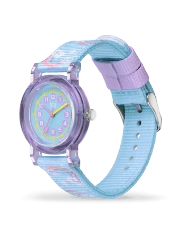 024498.1 ICE-WATCH ICE learning 024498