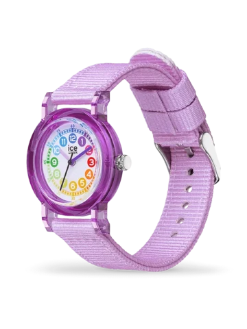 024499.1 ICE-WATCH ICE learning 024499