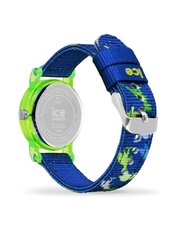 024501.3 ICE-WATCH ICE learning 024501