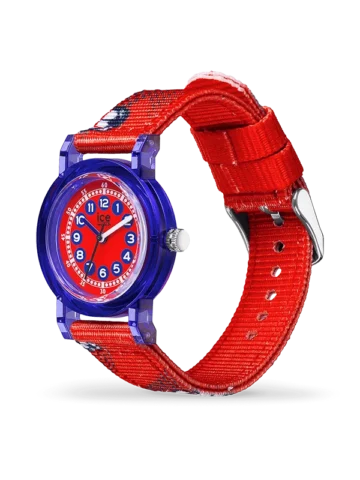 024502.1 ICE-WATCH ICE learning 024502