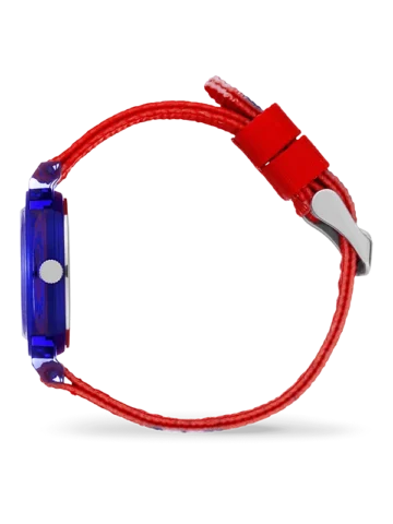 024502.2 ICE-WATCH ICE learning 024502