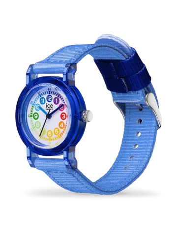 024503.1 ICE-WATCH ICE learning 024503