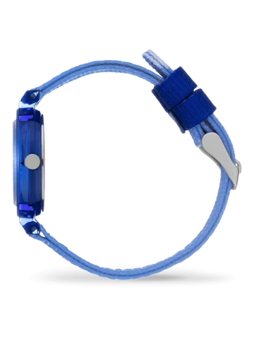 024503.2 ICE-WATCH ICE learning 024503