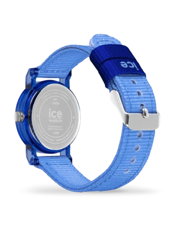 024503.3 ICE-WATCH ICE learning 024503