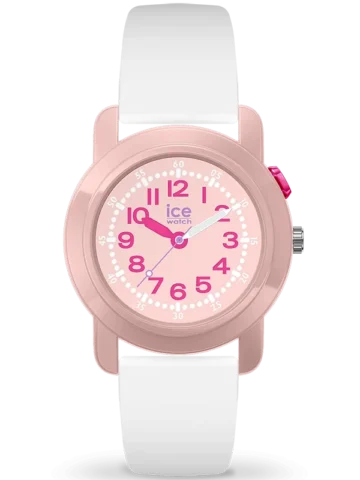 024914 ICE-WATCH ICE find 024914