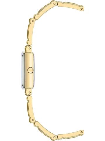 ANNE KLEIN METALS 10/4898BKGP