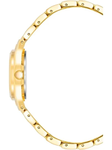 10-5490bkgb.1 ANNE KLEIN 10/5490BKGB METALS