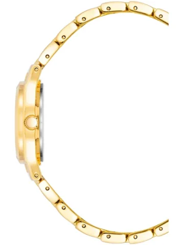 ANNE KLEIN METALS 10/5490MPGB