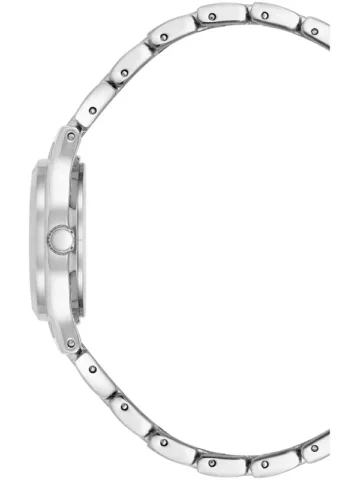 ANNE KLEIN METALS 10/5491MPSV