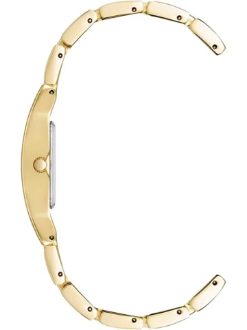 ANNE KLEIN METALS 10/6418CHGB