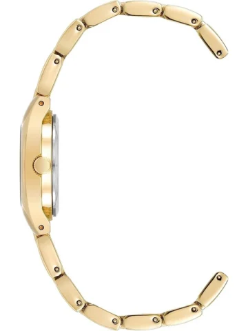 10-6776bkgp.1 ANNE KLEIN METALS 10/6776BKGP