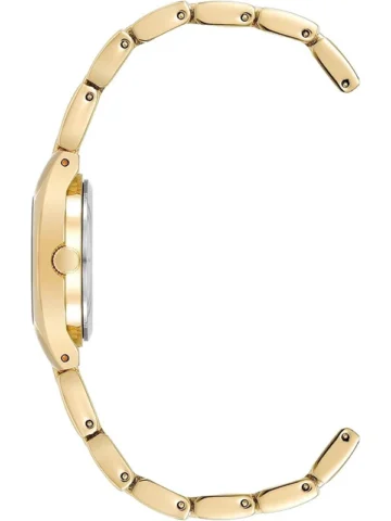 ANNE KLEIN METALS 10/6776CHGB