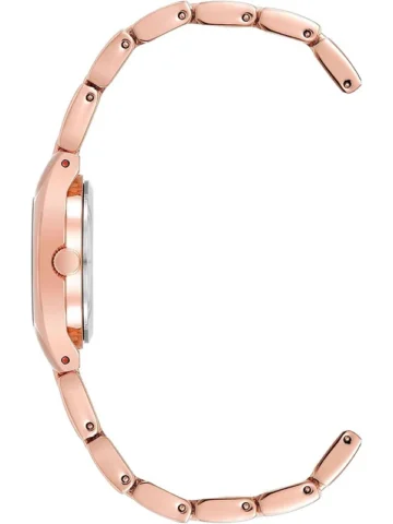10-6776svrg.1 ANNE KLEIN METALS 10/6776SVRG