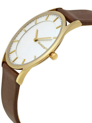 SKAGEN WHITE LABEL SKW6225