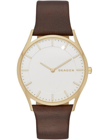 SKAGEN WHITE LABEL SKW6225
