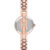2662svrg-2-1 ANNE KLEIN METALS AK/2662SVRG
