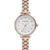 2662svrg ANNE KLEIN METALS AK/2662SVRG