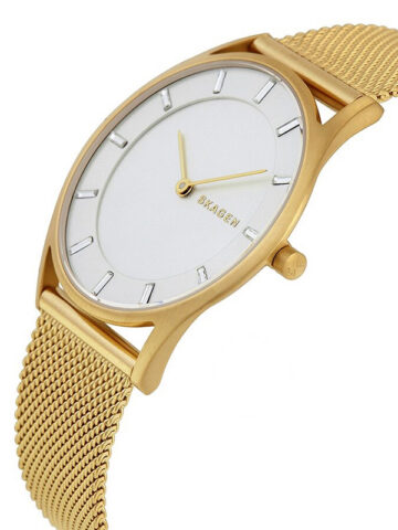 29-1-3 SKAGEN HOLST SLIM STEEL SKW2377