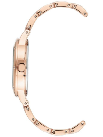 ANNE KLEIN CONSIDERED SOLAR AK/3758LPRG