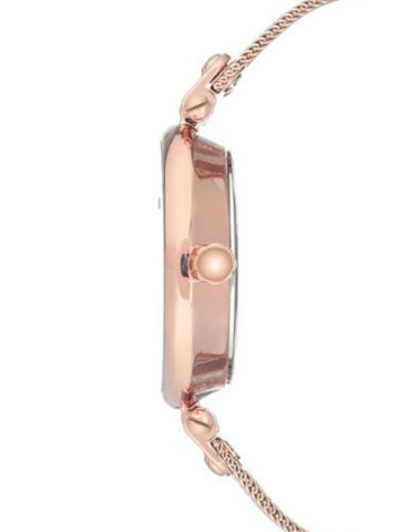 ANNE KLEIN CRYSTAL METALS AK/3000RGRG