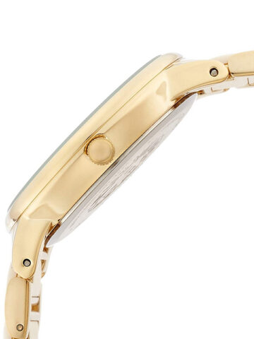 ANNE KLEIN TREND AK/1412IVGB