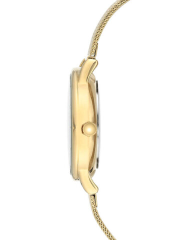 3722bmgb-1 ANNE KLEIN CONSIDERED SOLAR AK/3722BMGB