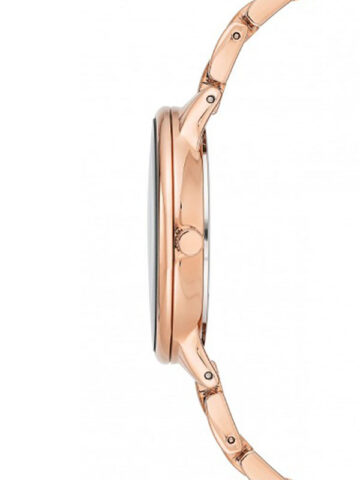 ANNE KLEIN METALS AK/3750NMRG