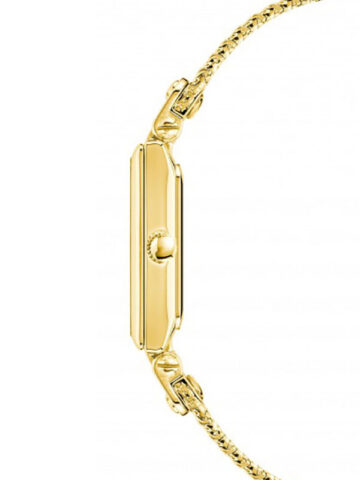 3882chgb-1 ANNE KLEIN METALS AK/3882CHGB