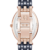 ANNE KLEIN CERAMIC AK/3900RGNV