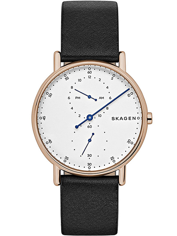 Часы Skagen Signatur SKW6390