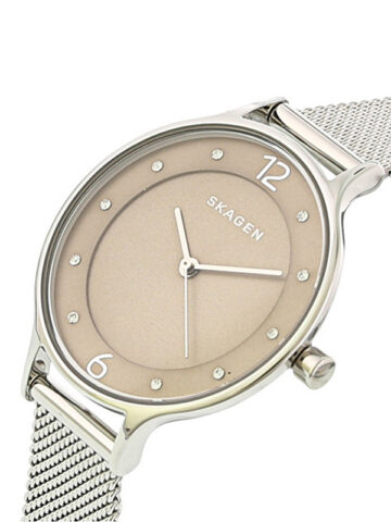 41-1-3 SKAGEN ANITA STEEL SKW2649