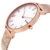 SKAGEN HALD ROSE TONE SILK SKW2714