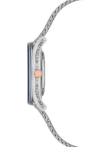 55-1-1 ANNE KLEIN CRYSTAL METALS AK/2209NVRT