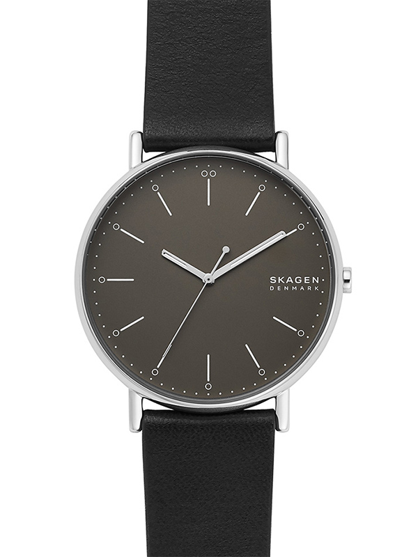 Часы Skagen Signatur SKW6528