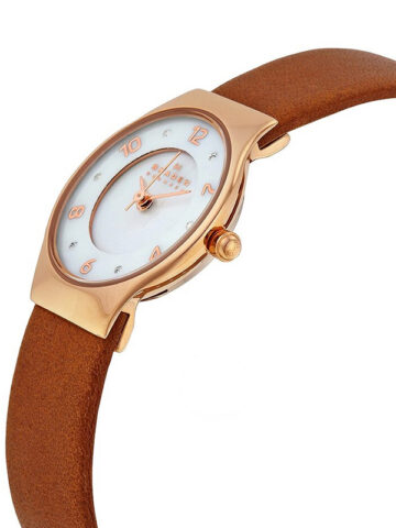 8-1-3 SKAGEN LEATHER SKW2210