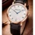 H7916PBR.2.. MATHEY-TISSOT Monsoon Roman H7916PBR