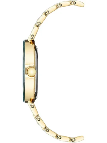 ANNE KLEIN DIAMOND DIAL AK/1362GNGB