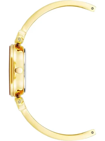 ak-1980rdgb.1 ANNE KLEIN DIAMOND DIAL AK/1980RDGB