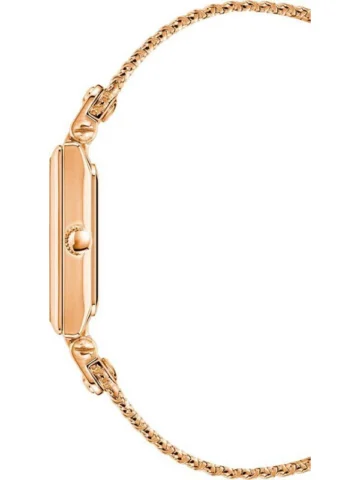 ANNE KLEIN METALS AK/3882RGRG