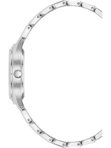 ak-4061svsv.1 ANNE KLEIN METALS AK/4061SVSV