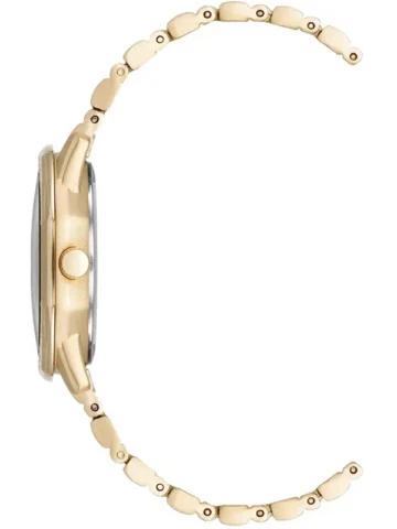 ANNE KLEIN CRYSTAL METALS AK/5028MPGB