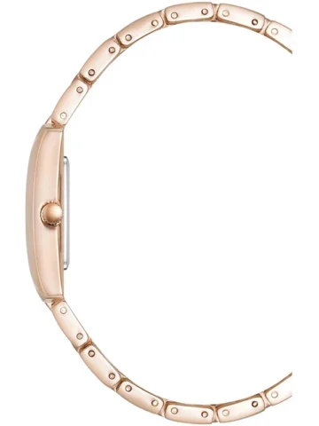 ANNE KLEIN METALS AK/5114SVRG