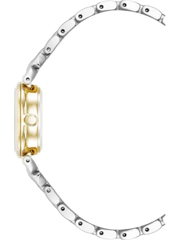 ANNE KLEIN METALS AK/4145WTTT