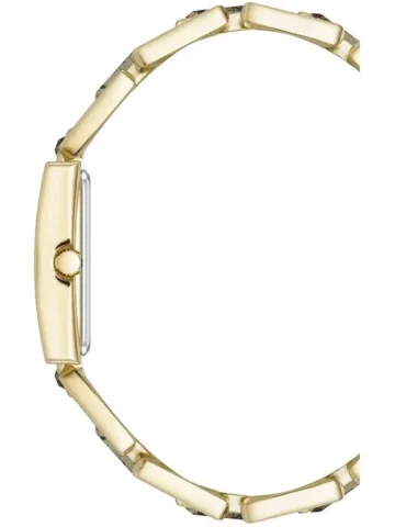 ANNE KLEIN GEM STONES AK/4156PYGB