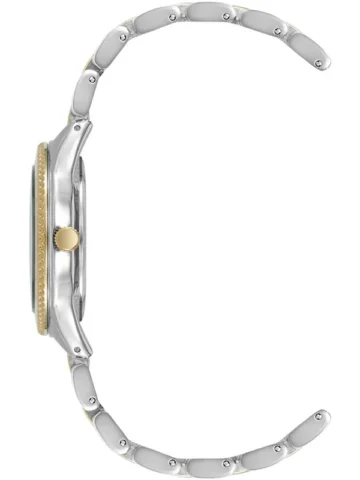 ANNE KLEIN METALS AK/5041SVTT