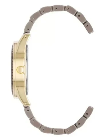 ANNE KLEIN CERAMIC AK/5068GPTP