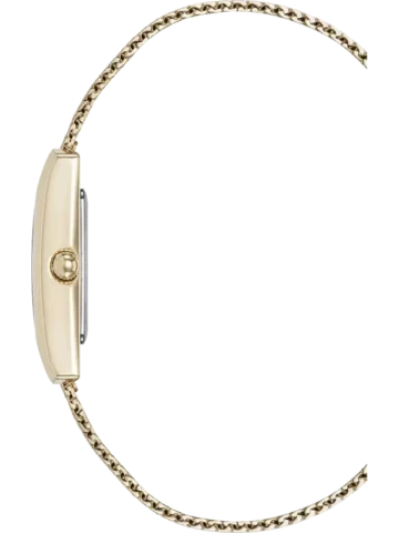 ANNE KLEIN DIAMOND AK/5232MPGB