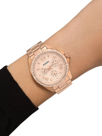 FOSSIL CECILE AM4483