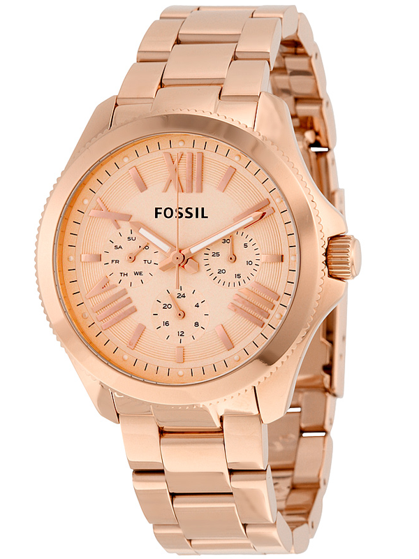 Ceas Fossil Cecile AM4511