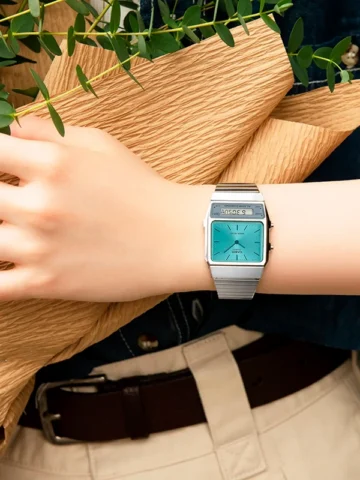 CASIO VINTAGE AQ-800EC-2AEF